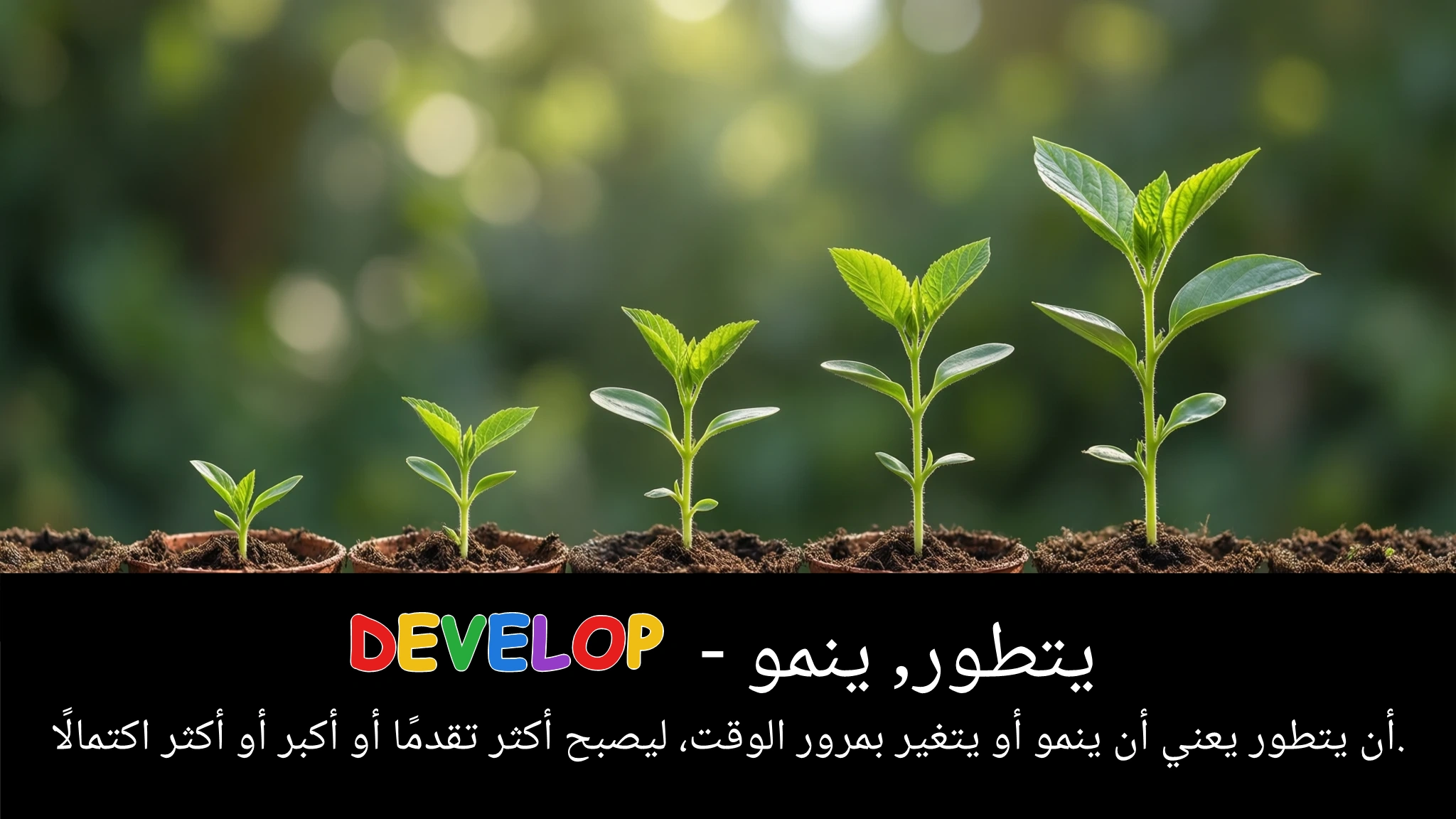 Arabic Illustration for develop